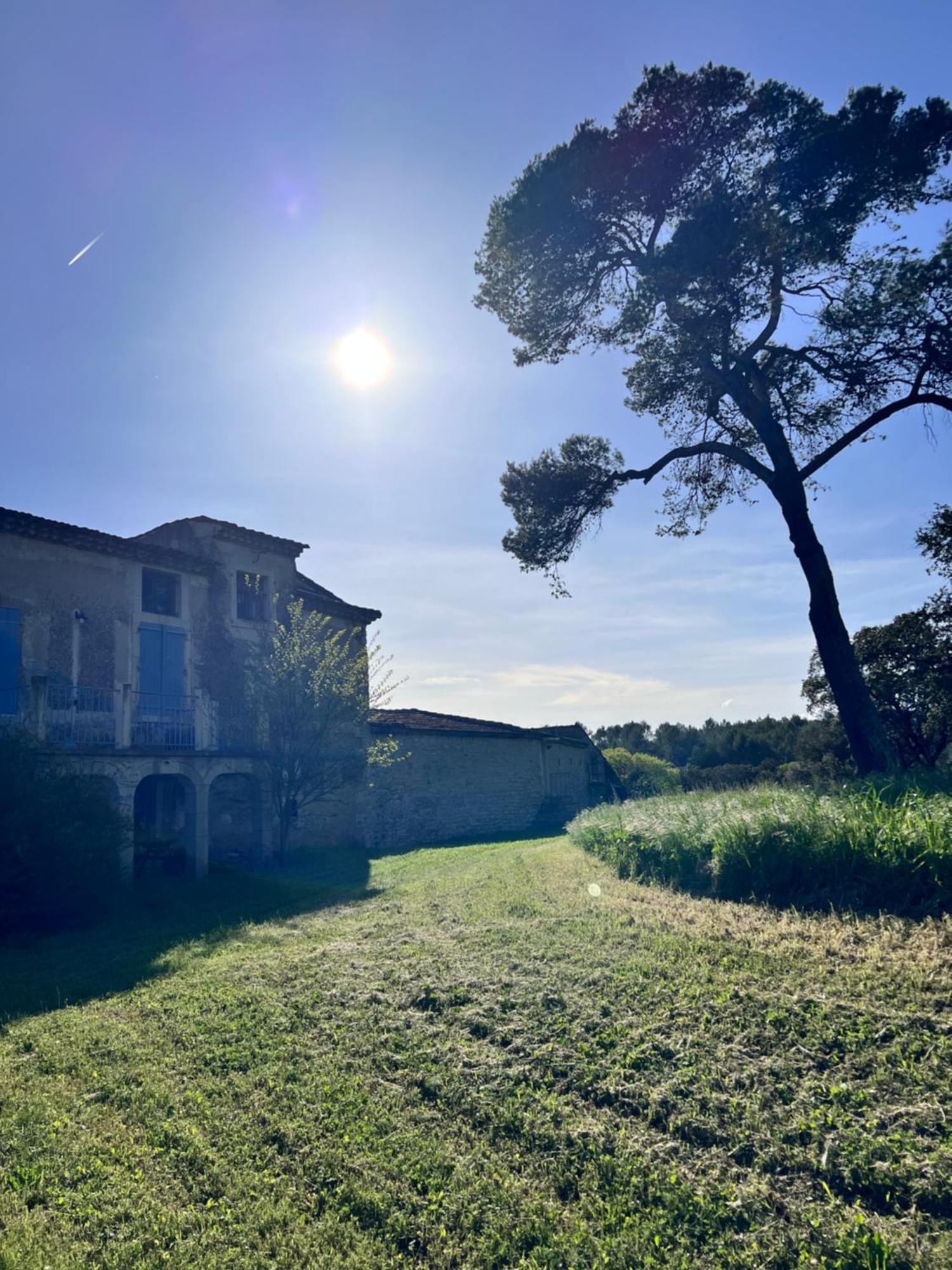 Le Mas Du Gentilhomme Chambre Lavande Orthoux-Sérignac-et-Quilhan Exteriör bild